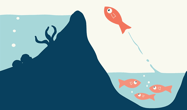 интернет системы управления школой боевых искусств